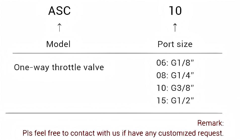 The ASC One-Way Throttle Valve ASC 单向节流阀