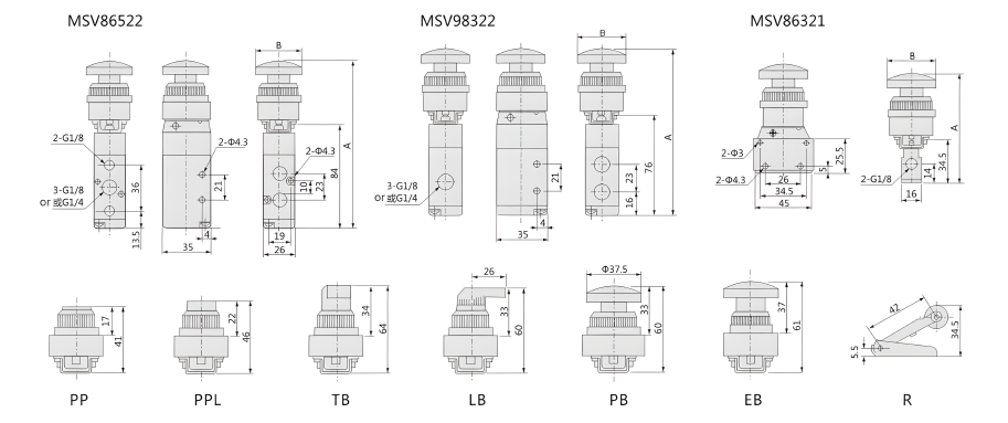 MSV structure MSV结构