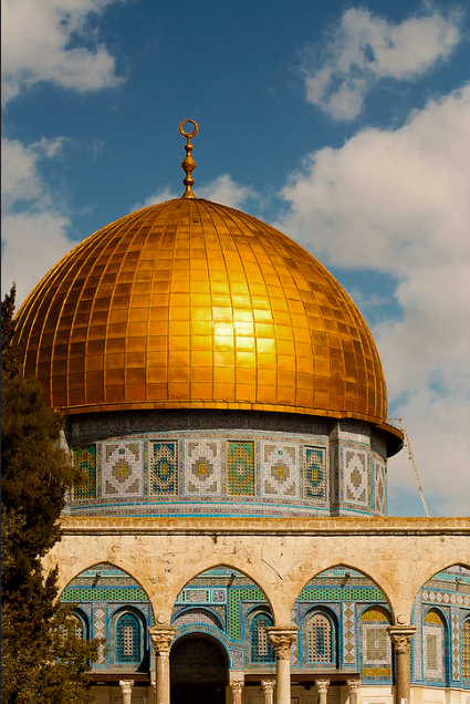 中东气动空气处理元件市场动态